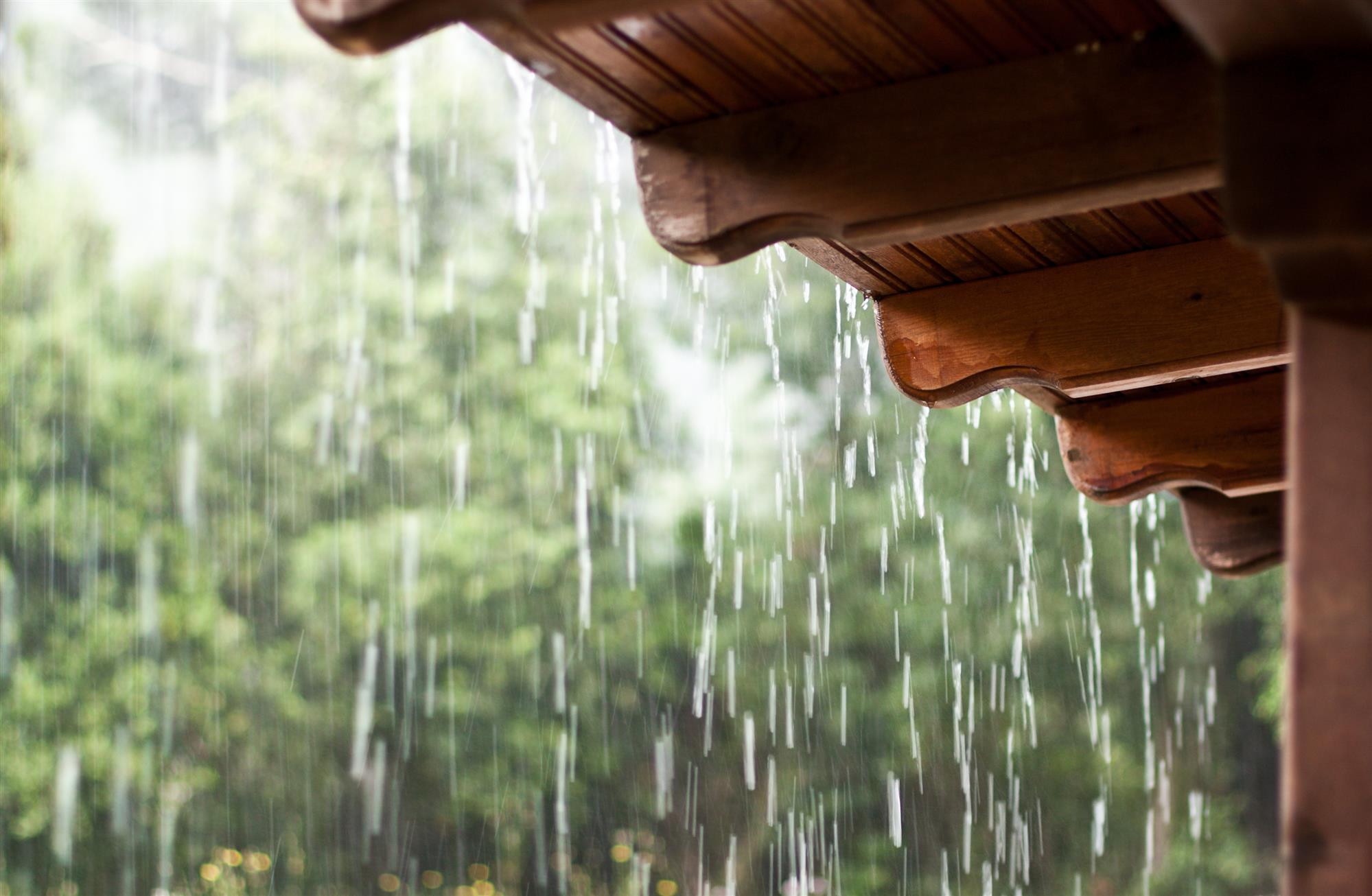 Protect Your Business During The Rainy Season Enclosure Guy