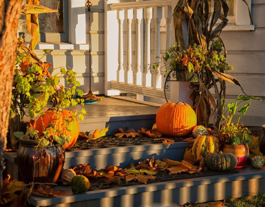 Decor for halloween. pumpkins outdoors patio